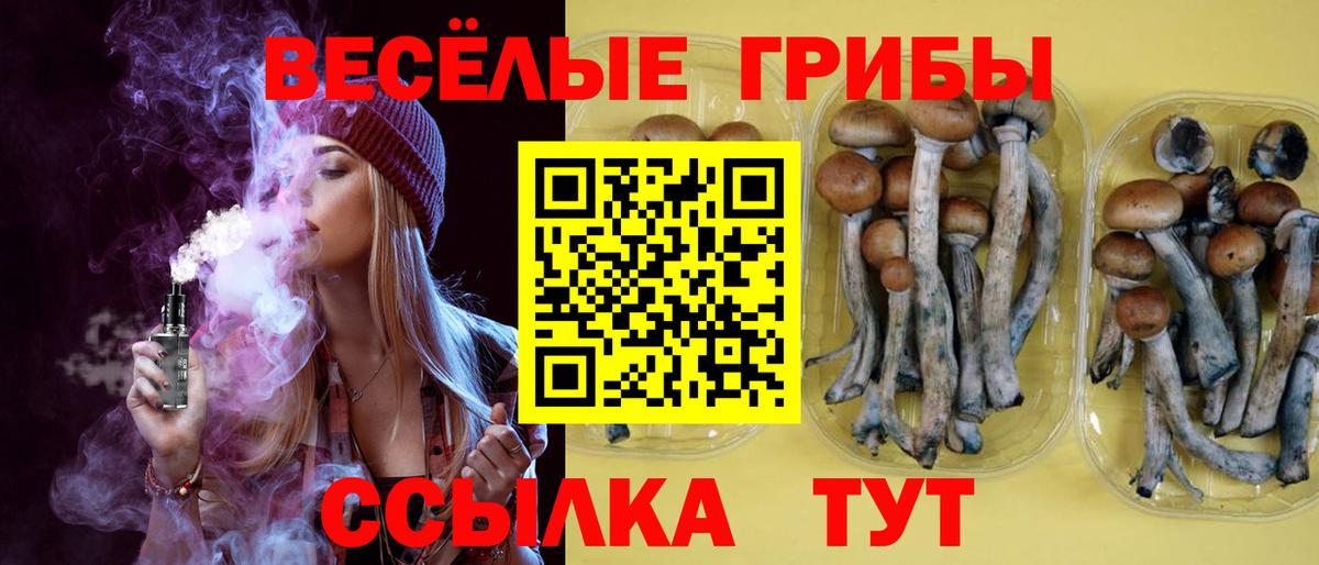 Галлюциногенные грибы мухоморы Астрахань