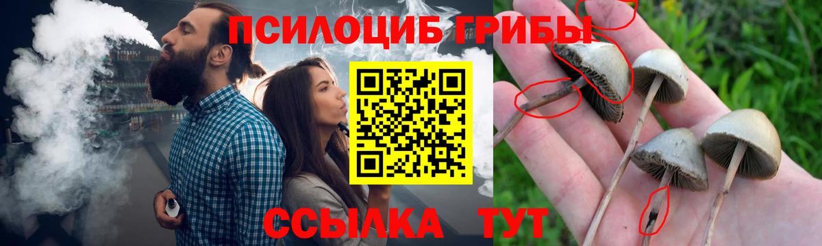 Псилоцибиновые грибы GOLDEN TEACHER  Вход с VPN  Астрахань  Псилоцибиновые грибы Psilocybe 